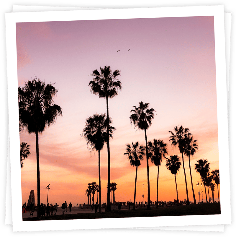 Photo of sunset behind palm streams, a beachy crowd below